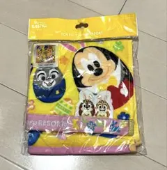 【美品】東京ディズニーリゾート2017イースタータオル