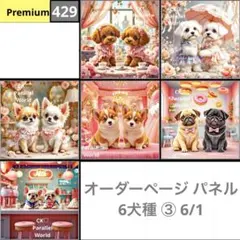 オーダーページ パネル 6犬種③ 6/1