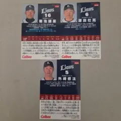 Item thumbnail for item e6228aeb-1f58-44d6-9643-a1dbb915f5a9