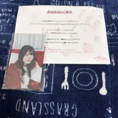 櫻坂46 森田ひかる アクリルスタンド （サクコレ コンプリート特典