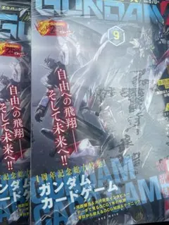 月刊ガンダムエース9月号 付録プロモカード 未開封 カードのみ 4枚