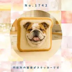 Item thumbnail for item 953ac808-bd57-4966-8a4a-164116f8a80d