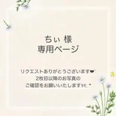 ちぃ様 おまとめ4点