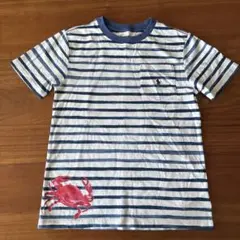 ポロ・ラルフローレン　ボーダー/カニ　Tシャツのサムネイル