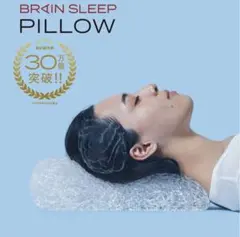 BRAIN SLEEP PILLOW (STANDARDサイズ)