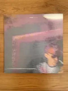Pet Shop Boys 『DISCO』LPレコード