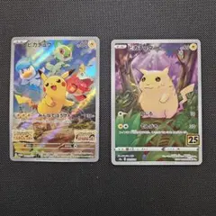 ピカチュウ 2枚セット