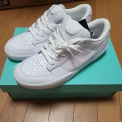 NIKE SB FORCE58 PREMIUM DH7505-100