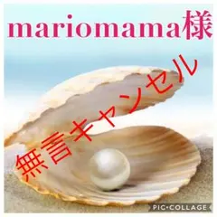 mariomama様専用