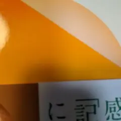 アルボムッレ・スマナサーラ「忘れる練習・記憶のコツ」