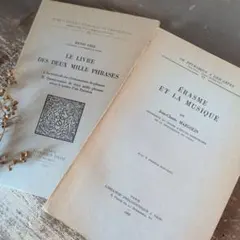 B474 フランスヴィンテージ 洋書 古びた風合い ディスプレイ インテリア