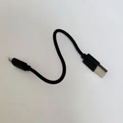 USB-A to USB Type-C ケーブル 約20cm 黒