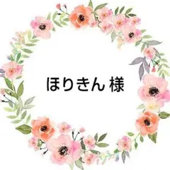 ほりきん 様