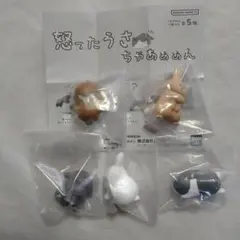 怒ったうさちゃあぁぁん 全5種セット