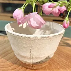 2025年最新】アセビマコト 馬酔木誠の人気アイテム - メルカリ