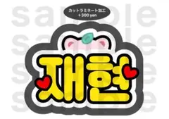 ジェヒョン NCT127 うちわ文字 ネームボード