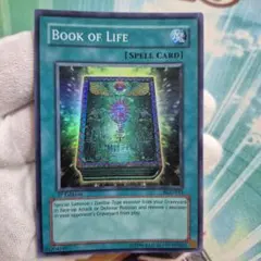 Item thumbnail for item 75b1c3db-9292-41a6-aaad-a9fee9ac0bb1