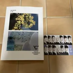 SEVENTEEN  carat magazine vol.12