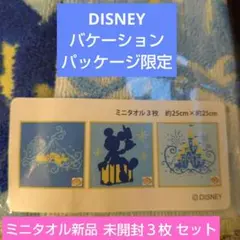 ディズニー公式　ミッキーマウス　バケパ限定　ミニタオル 3枚セット 新品未開封