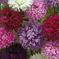 ちー子様 リクエスト 4点 まとめ商品