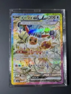 イーブイex SAR SV8a テラスタルフェスex 223/187