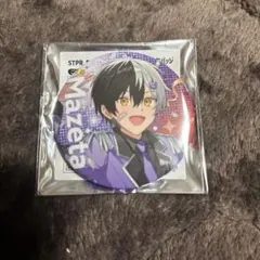 STPR Family すとふぇす 2025 まぜ太