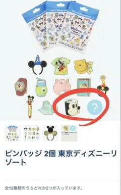 ディズニー　ピンバッジコレクション　シークレットセット
