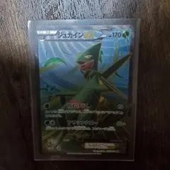 ジュカインEX SR XY7 バンデットリング 082/081 - メルカリ