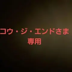 コウ・ジ・エンドさま専用　ファミコン　ハイパーショット