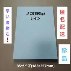廃盤もののため珍品❗　特殊紙　メガ(180㎏)　レイン　30枚
