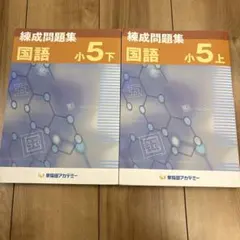 2026年最新】早稲アカ 錬成 小5の人気アイテム - メルカリ