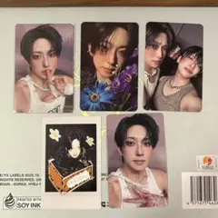 &TEAM back to life FUMA フウマ トレカセット