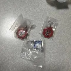 スーパー戦隊シリーズ めじるしアクセサリー