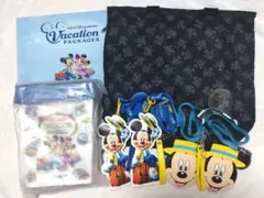 ディズニーバケパ　ポップコーンケース、バック、パスケース、クリアファイル