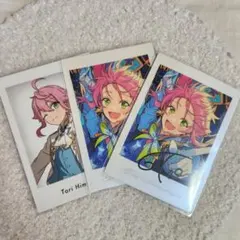 ぱしゃっつ 姫宮桃李 ３枚セット