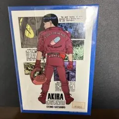 AKIRA ジグソーパズル 大友克洋 2026年最新】AKIRA ジグソーパズルの人気アイテム - メルカリ
