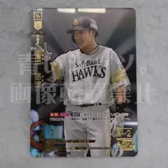 ドリームオーダー 柳田悠岐 SSPレア 福岡ソフトバンクホークス サイン カード ドリームオーダー 柳田悠岐 SSPレア 福岡ソフトバンクホークス