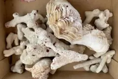 まぁ(*ˊ˘ˋ*)。♪:*°様 リクエスト 2点 まとめ商品