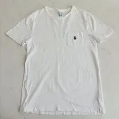 POLO RALPH LAUREN Tシャツ ポニー刺繍 S（A749）