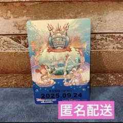 リゾートライン★フリーきっぷ★シー24周年★期限切れリゾラ