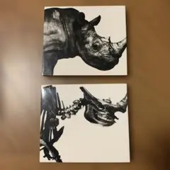 Mr.Children 1992-1995/1996-2000 アルバム　セット