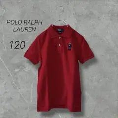 ポロベア トップス