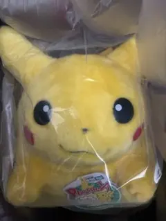 ポケモン30周年記念おかえり!ピカチュウ1/1