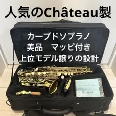 P.mauriat カーブド　ソプラノサックス　純正ケース付き　極美品　レア P.mauriat カーブド ソプラノサックス 純正ケース付き 極美品