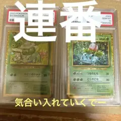ポケモン連番psa10 フシキダネ　フシキソウプレミア