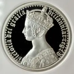 2014年イギリス女神ブリタニア 5オンス 10£大型銀貨 NGC PF70UC - メルカリ