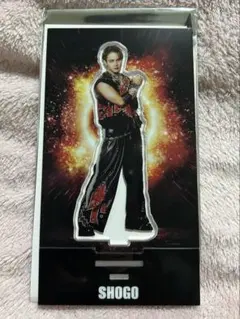 岩谷翔吾 EXILE THE REASON アクスタ