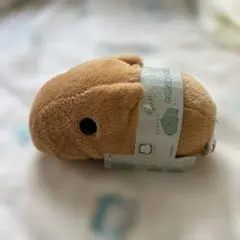 2026年最新】カピバラさん とことこあるくよぬいぐるみの人気アイテム