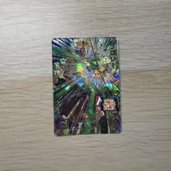 ブロリー ドラゴンボールカード