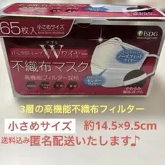 ✨不織布マスク✨iSDG 口元空間キープ　 Wワイヤーマスク 小さめサイズ58枚